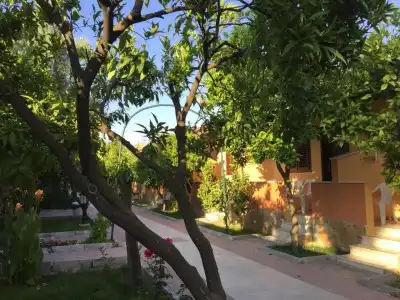 Ozlem Garden - All Inclusive - 63