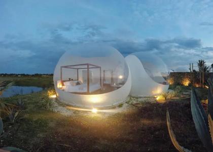 Green Land Bubble Glamping - 15