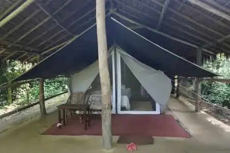 Tiger Tops Tharu Lodge - 16