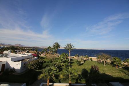 Sharm Club Beach Resort - 30