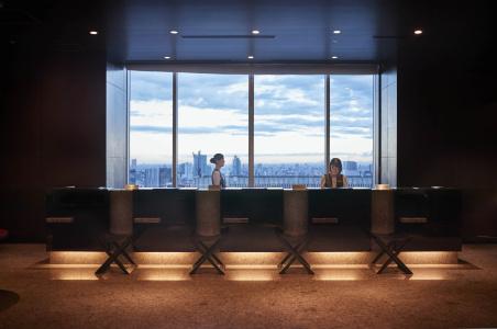 Metropolitan Tokyo Marunouchi - 1