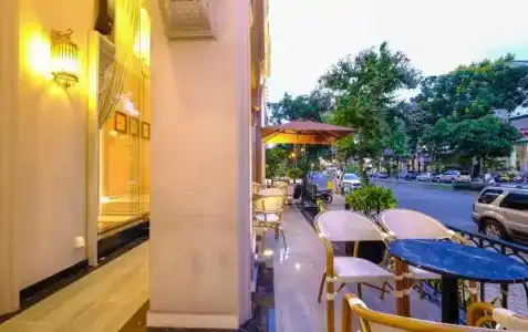 Golden Tree & Apartment - 25