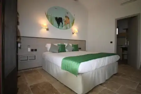 Hôtel Mas des Barres - 51