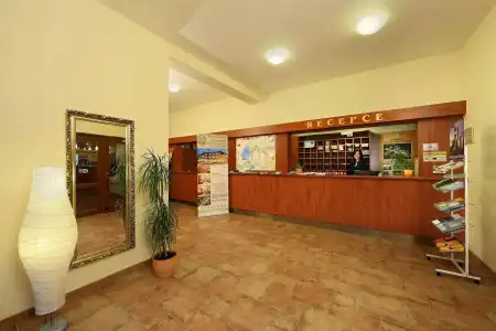 Záviš z Falkenštejna - 25