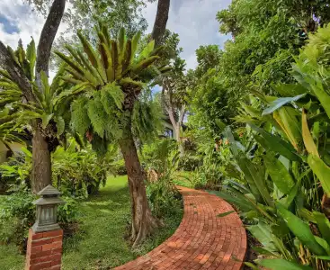 Mangosteen Ayurveda & Wellness Resort - 21
