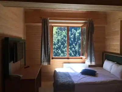 Ayder Doga Resort - 28