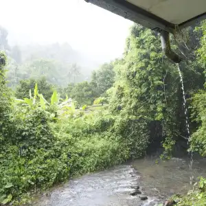 Tree Top River Huts - 48