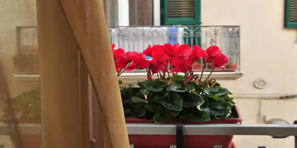 B&B Donna Eleonora - 27