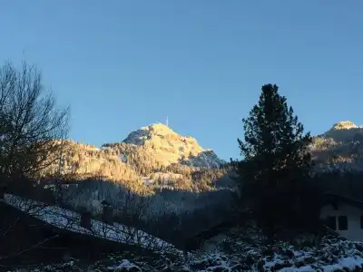 Alpenrose Bayrischzell - 55