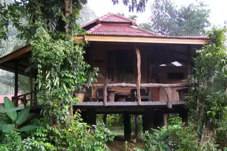 Khao Sok Nature Resort - 13