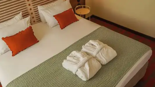 Mercure Arles Centre Arenes - 62