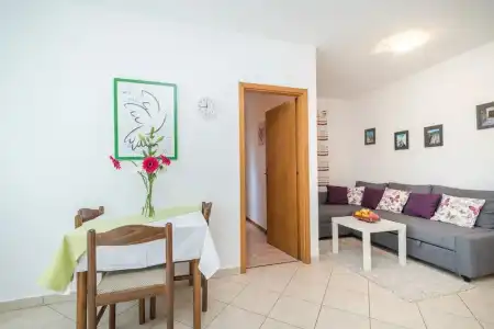 Apartments Vojin - 23