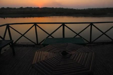 Jungle Wildlife Camp - 9