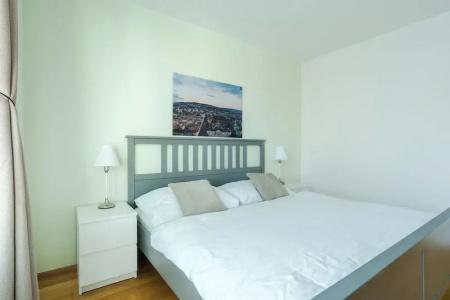 Business & Family Ambiente Apartments - 90