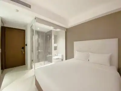 The Luxe - 8