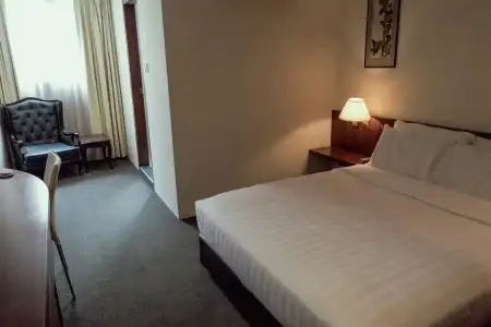 VIP (SG Clean Certified) - 50