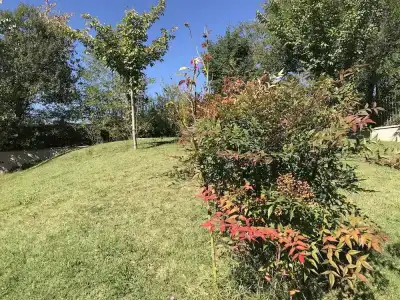 Oasi del Vetoio - 33