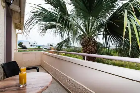 Le Palme - 61