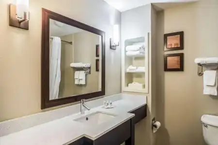 Comfort Inn & Suites Chattanooga West - Lookout Mountain - 35