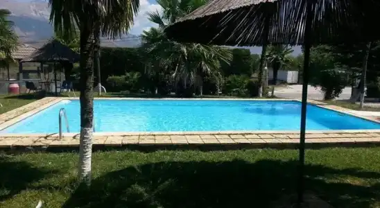 The Palm - 8