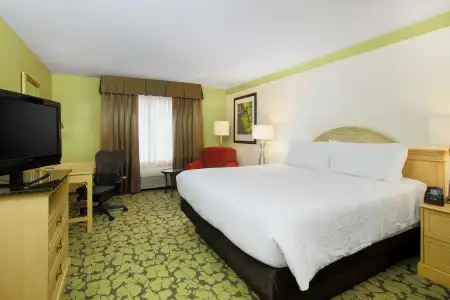 Hilton Garden Inn Tallahassee - 3