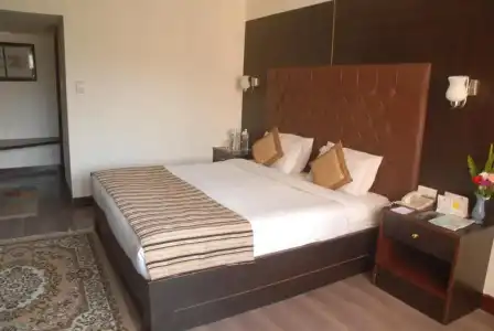 Vaishali - 65
