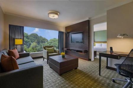 Holiday Inn Singapore Orchard City Centre by IHG - 62