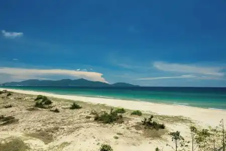 Sheraton Grand Danang Beach Resort & Spa - 93