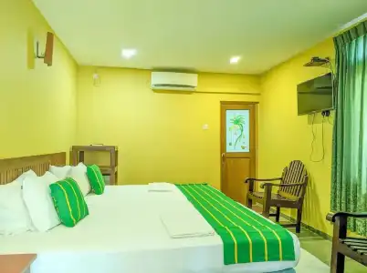Golden Wild Yala - 115
