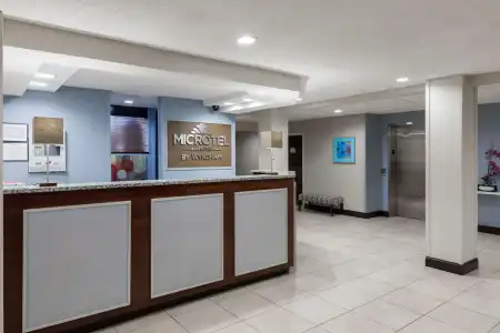 Microtel Inn & Suites by Wyndham Greenville / Woodruff Rd - 1