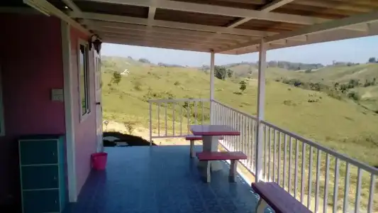 Lovely Farm - 42