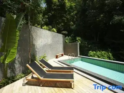 Jirana Patong - 170