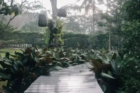 The Hidden Resort & Restaurant - 27