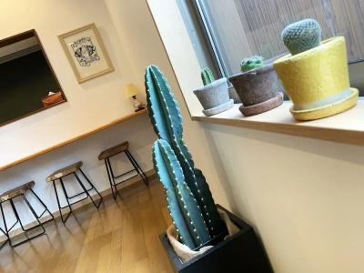 Cactus Inn / Vacation Stay 51551 - 27