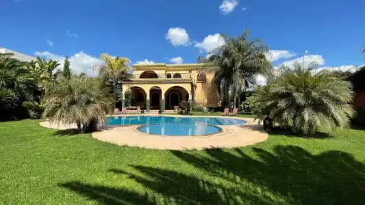 Riad Noumidya - 38