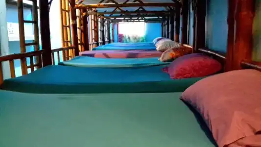 Bamboo Hostel - 2