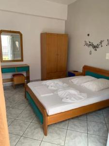Pansion Olga - 11