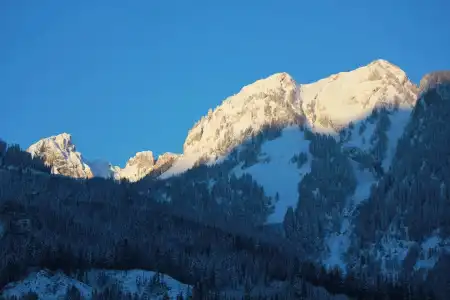 & Chalet Dorfer - 90
