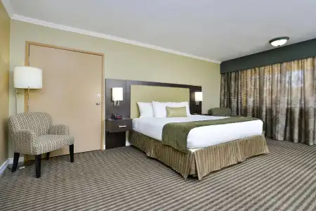 Royal Sun & Suites - 97