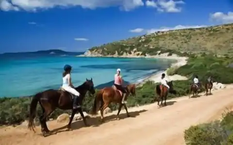 Dell'Ancora - 8