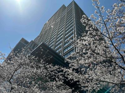 Monterey Grasmere Osaka - 23