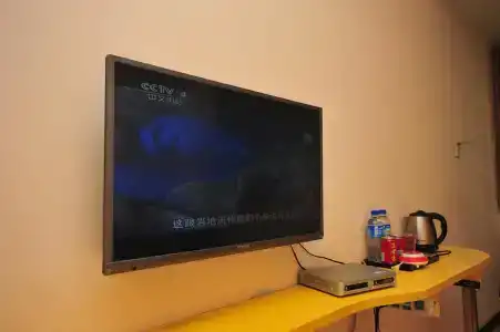 Zhiyun Youth - 14