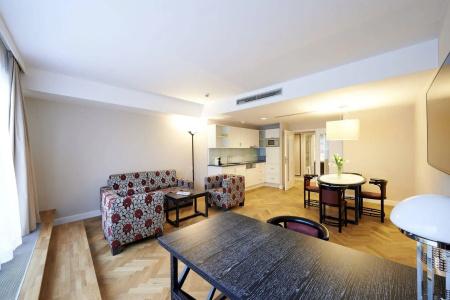 Singerstrasse 21-25 Apart350m next to St Stephen´s Square - 22