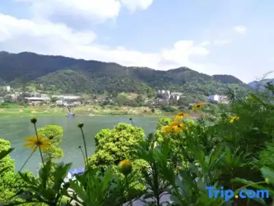 Wuyu (Chongqing Jinyun Mountain, Southwest University) - 38