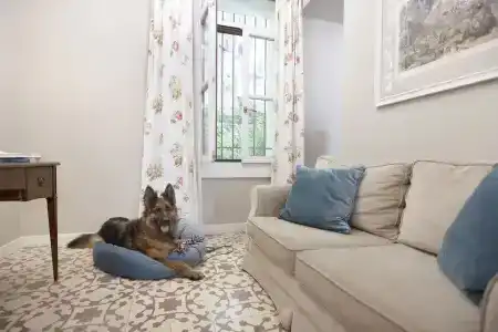Gatto Perso Luxury Apartments - 25