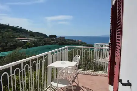 Dania - 83
