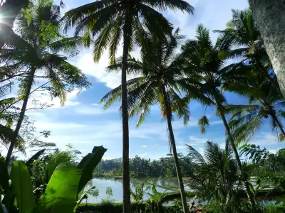 Temuku Ubud Villas - 34