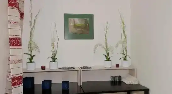 Luxury Spa & Wellness Vila Valaška - 6