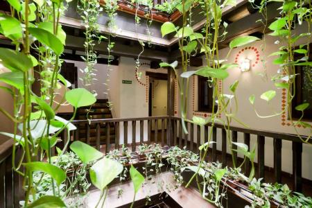 Oasis Backpackers Hostel Granada - 21