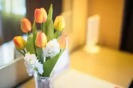 Best Western Plus Tsim Sha Tsui - 29